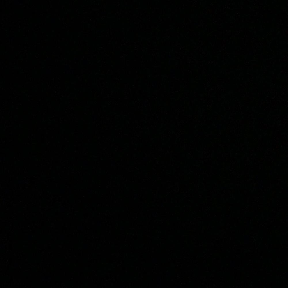 Meet your Posher, Molly